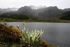 Laguna jigsaw puzzle