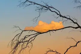 Paisagem jigsaw puzzle