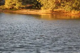 Paisajes jigsaw puzzle