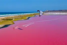 Salinas rosadas, Venezuela