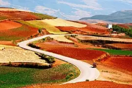 Los colores naturales...