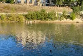 Villa Mirasol Mont de Marsan jigsaw puzzle