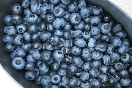Blueberries