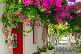 flores jigsaw puzzle