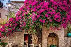 fachada jigsaw puzzle