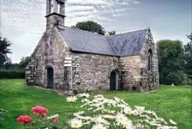 flores jigsaw puzzle