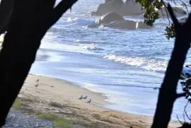 Brigognan Finistère jigsaw puzzle