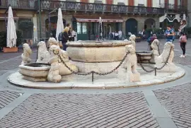 bergamo  - la fontana