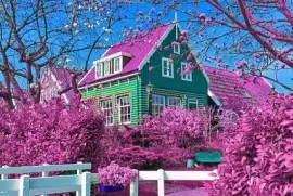 flores jigsaw puzzle