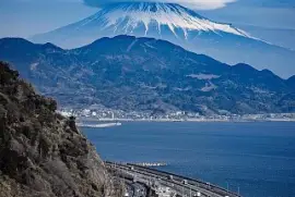 natural jigsaw puzzle