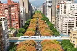 風景 jigsaw puzzle