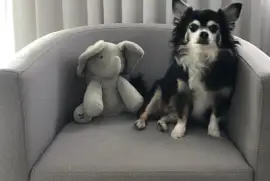 Nick e seu amigo de pelúcia