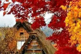 imagem jigsaw puzzle