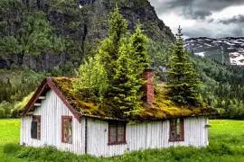 186.- CASUCHA ABANDONADA jigsaw puzzle