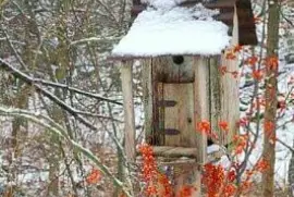 pajarera jigsaw puzzle