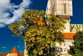 Autor Slavko Drobnić - Bakačeva jigsaw puzzle