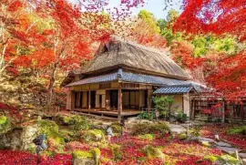 imagem jigsaw puzzle