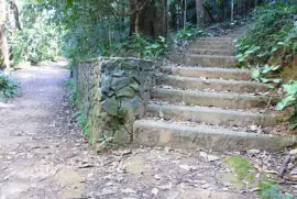 Burle Marx Park - São Paulo