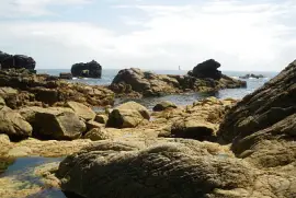 marée basse jigsaw puzzle