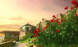 Alcazaba-Malaga jigsaw puzzle