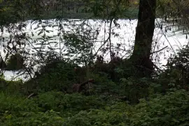 boscaglia jigsaw puzzle