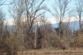 boscaglia jigsaw puzzle