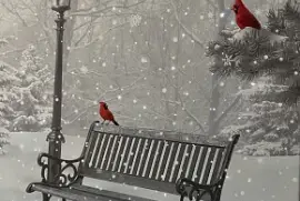 Winter Park Bench jigsaw puzzle