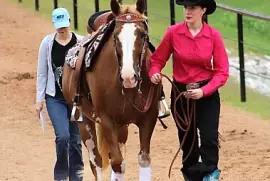 Western Dressage World Championship Show