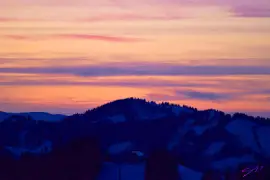 Anne Fourcade Jaekle