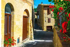 249.- CALLEJON FLORIDO