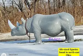 fiberglass Rhinoceros in the Ohio snow