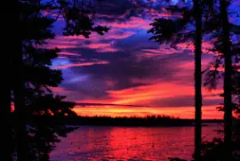 waaaaaaaaaaaaaaaaaaa