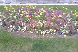 Neuchâtel quais fleuris 2