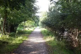 il sentiero jigsaw puzzle