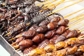 Imagem jigsaw puzzle