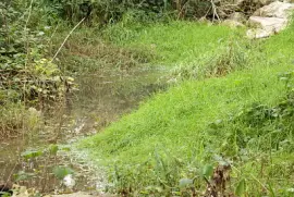 il rio jigsaw puzzle