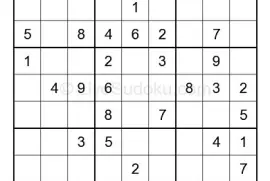 Sudoku Puzzle