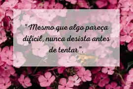 פאזל של biblico