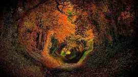 Tunel