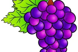 ES UNA FRUTA EN RACIMOS