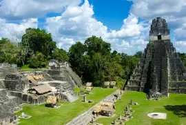 arma el rompecabeza con ayuda de tus compañeros