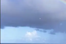 NATURALEZA EN CANCUN