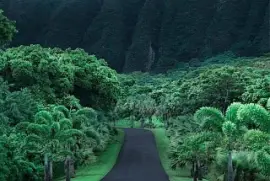 Hawaii