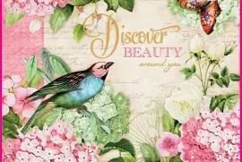 discover beauty