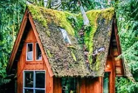 פאזל של Cabaña del Bosque