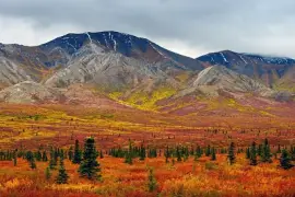 Autumn in Alaska