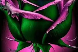 Flowers jigsaw puzzle