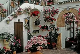 Fachada florida jigsaw puzzle