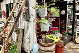 Venta de plantas jigsaw puzzle