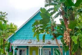 Green House jigsaw puzzle